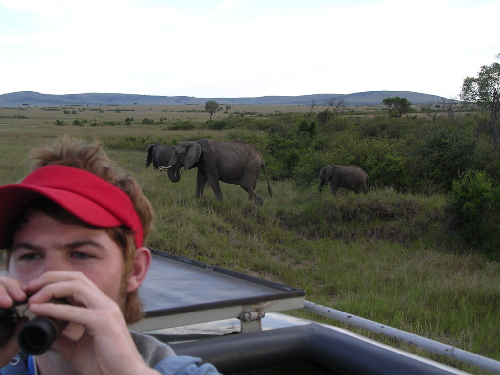 Masai Mara - nogen af os så elefanter...