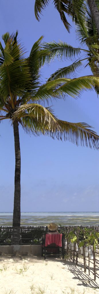 Palm Beach Inn - Lises favoritplads