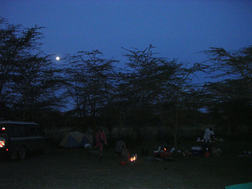 Masai Mara - 1. juledags aften under fuldmånen