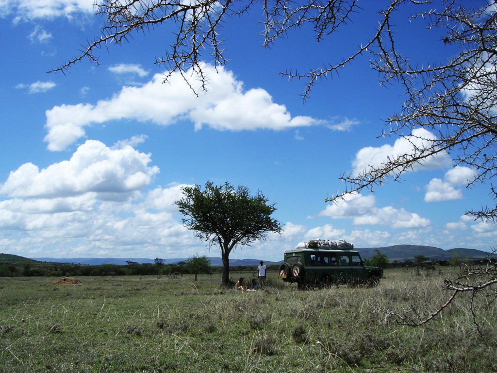Mod Masai Mara - stop ved et fotogent træ