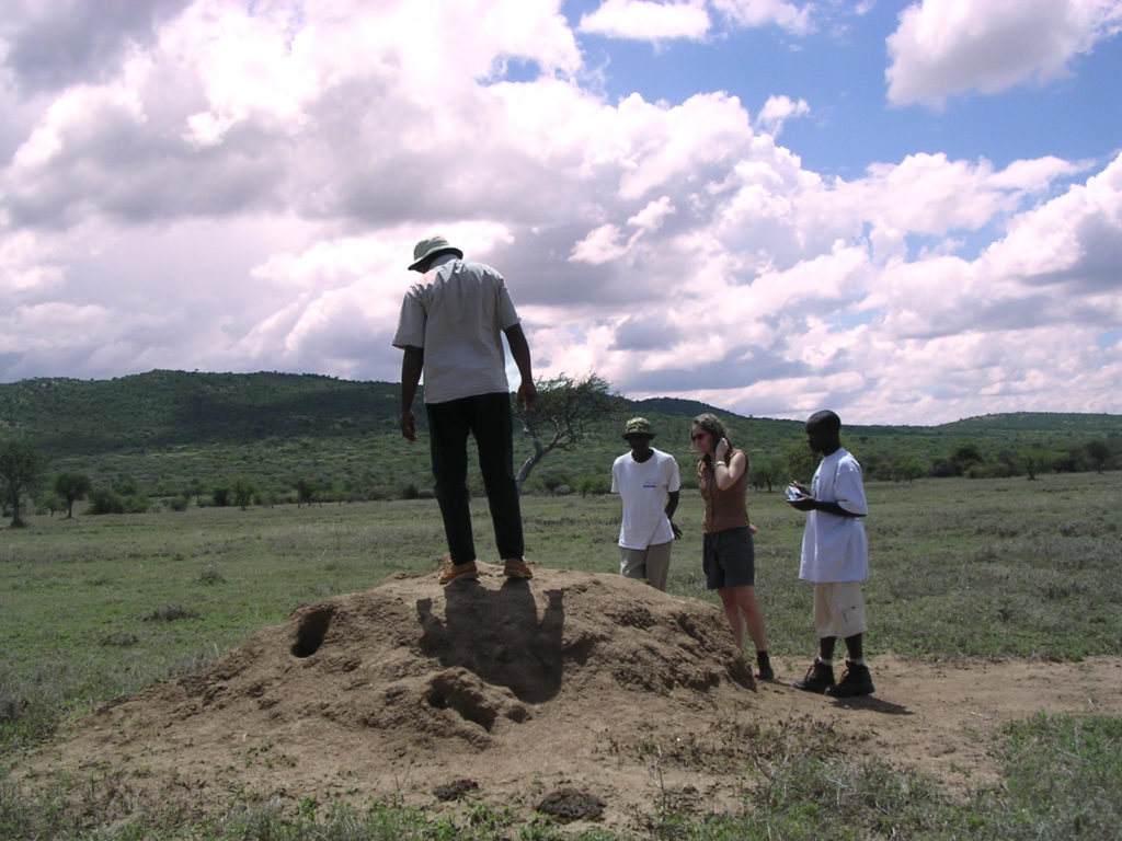 Mod Masai Mara - et forladt termitbo