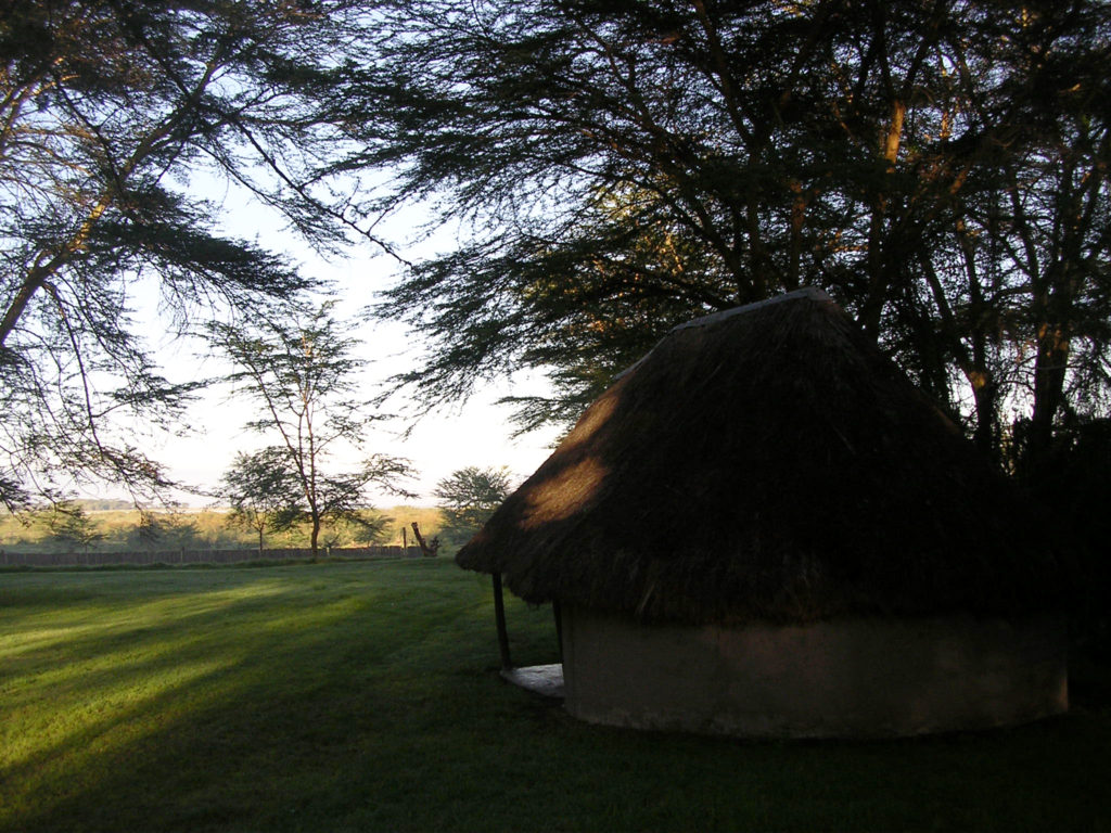 Lake Naivasha - den ene af vores hytter. Hegnet til flodhestene ses for enden af græsplænen