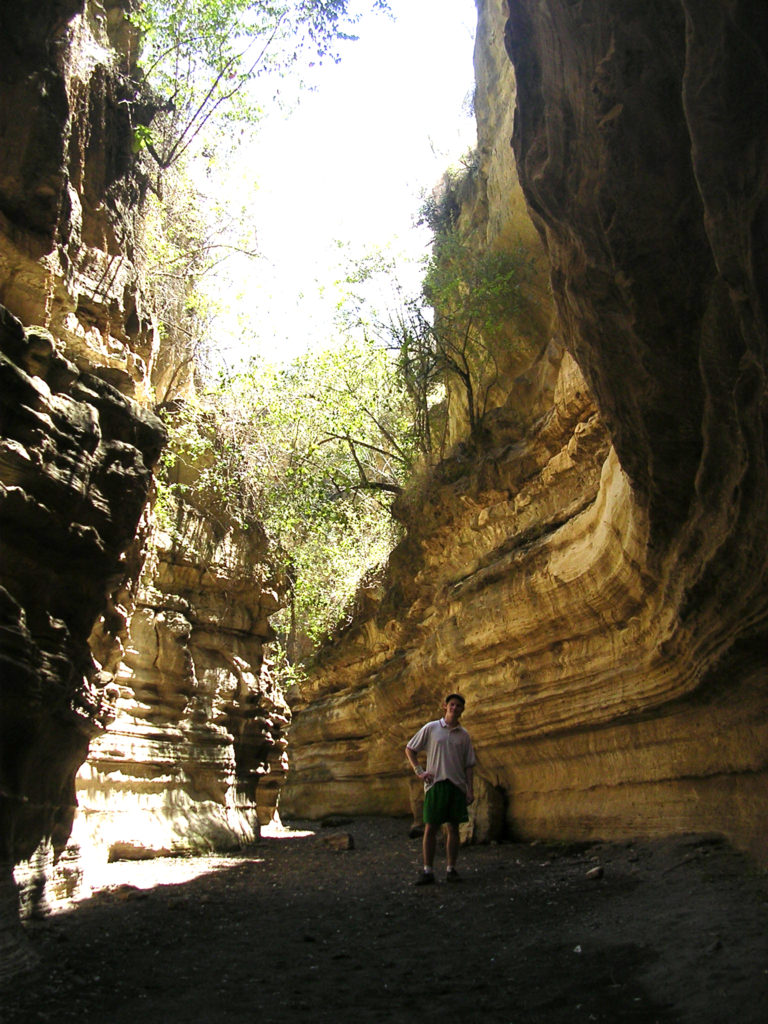 Lake Naivasha - Hell's Gate National Park