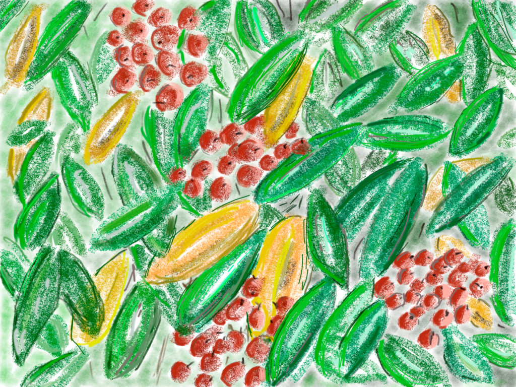 Duftsneboldebusk oktober, oktober 2017