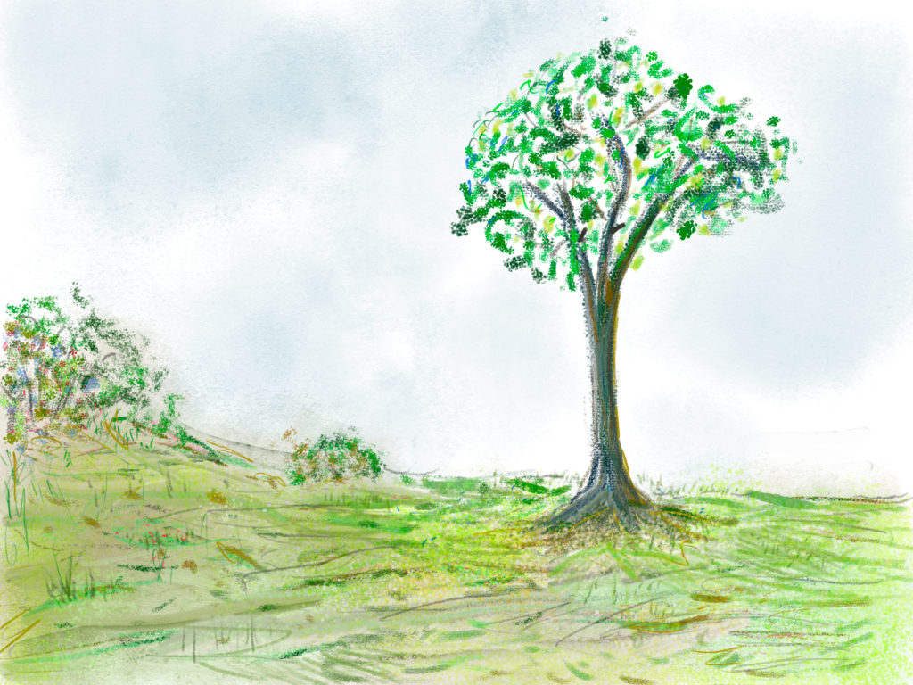 Et impressionistisk træ, december 2017