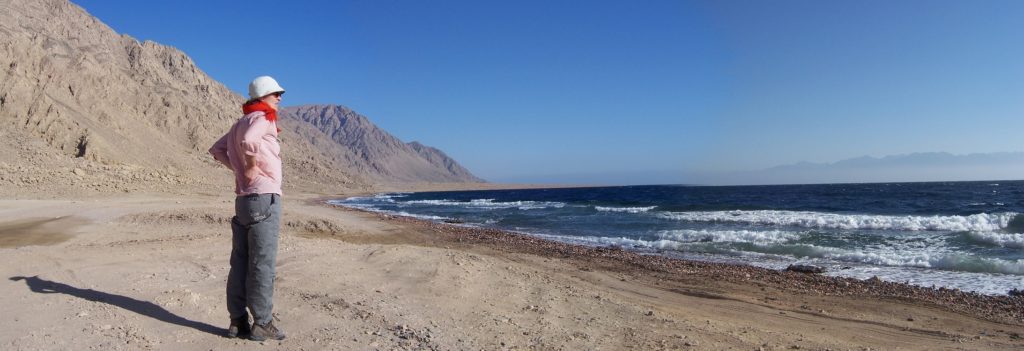 Lise, Sinai