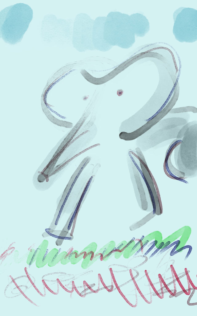 Elefant, Februar 2018