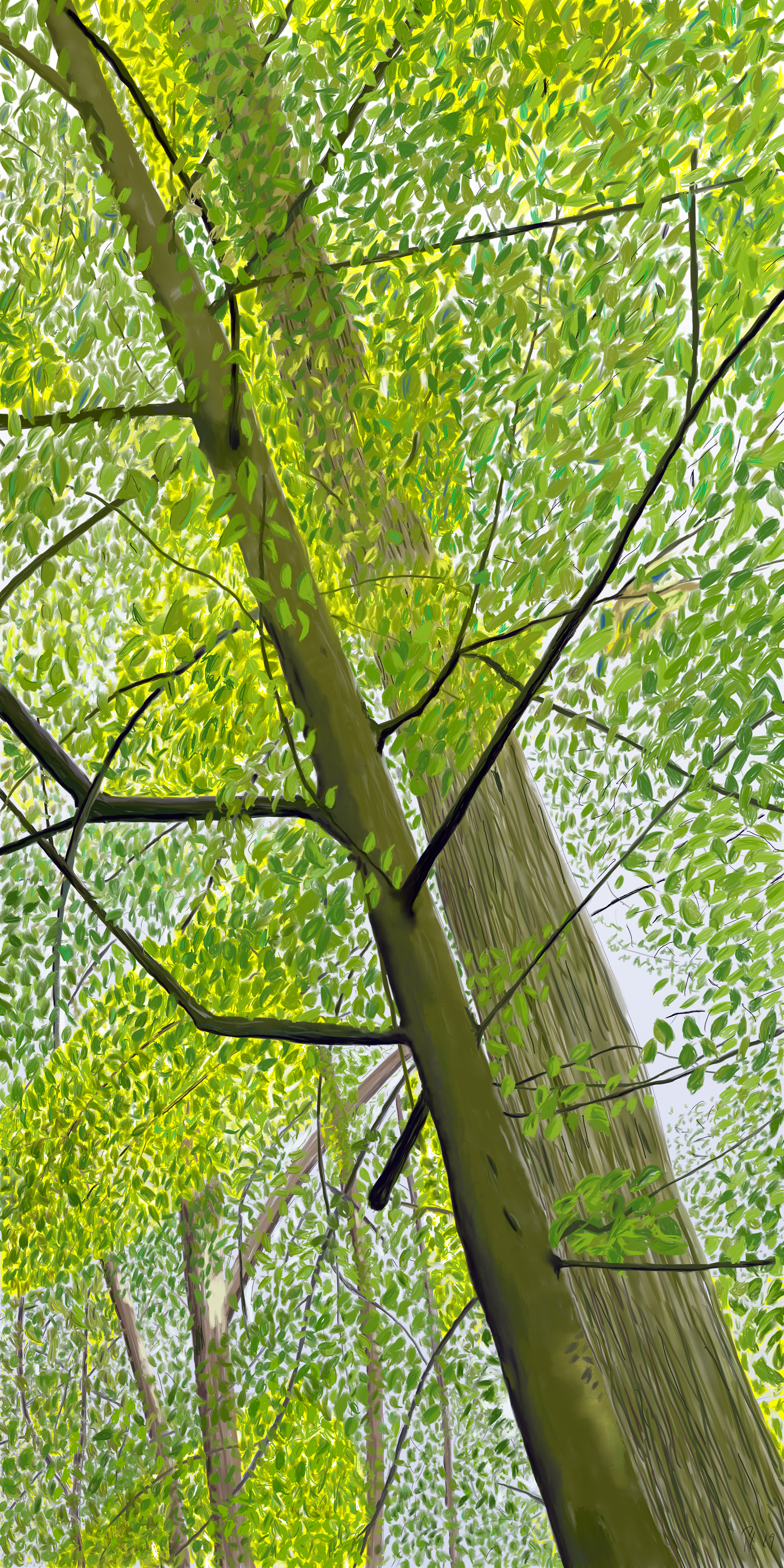 Oktoberlandskab 1, 2019