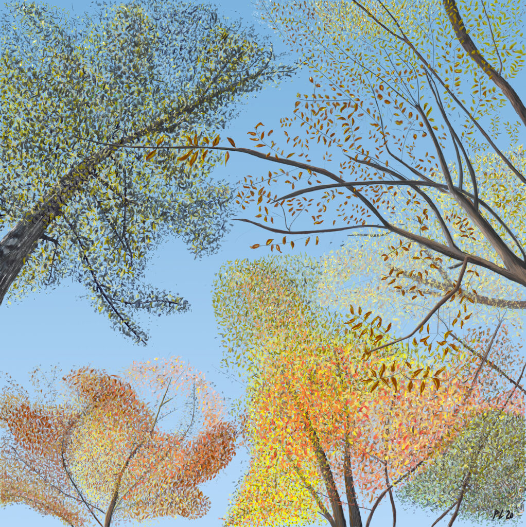 Oktobertræer; marts 2020